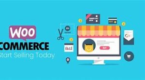 Read more about the article WooCommerce Features